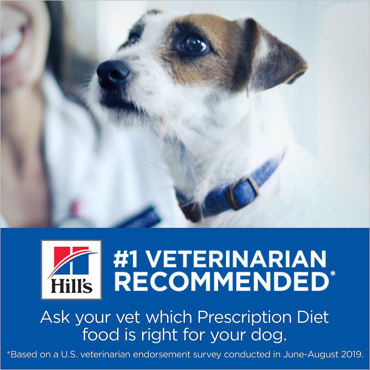 Hill's Prescription Diet i/d Digestive Care Small Bites Chicken Flavor Dry Adult and Puppy Dog Food