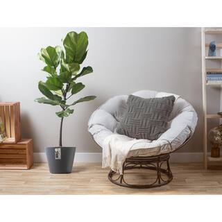 Costa Farms Ficus Lyrata Fiddle Leaf Fig Indoor Plant in 10 in. White Planter Average Shipping Height 3-4 ft. Tall CO.FL11.3.SEA