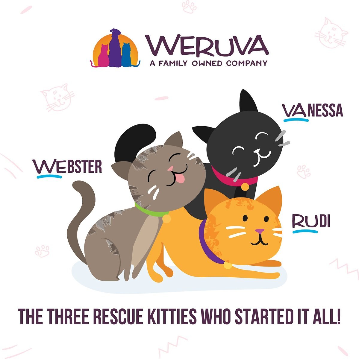 Weruva The 10 Ounce Pounce Variety Pack Grain-Free Canned Cat Food