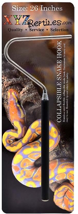 XYZReptiles Boa Constrictor Reptile Starter Kit