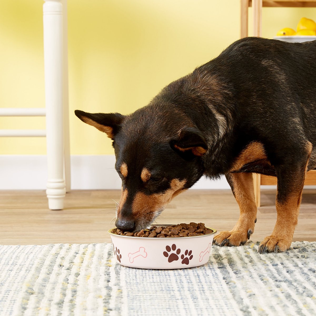 Loving Pets Bella Bowls Pet Bowl， Paparazzi Pink