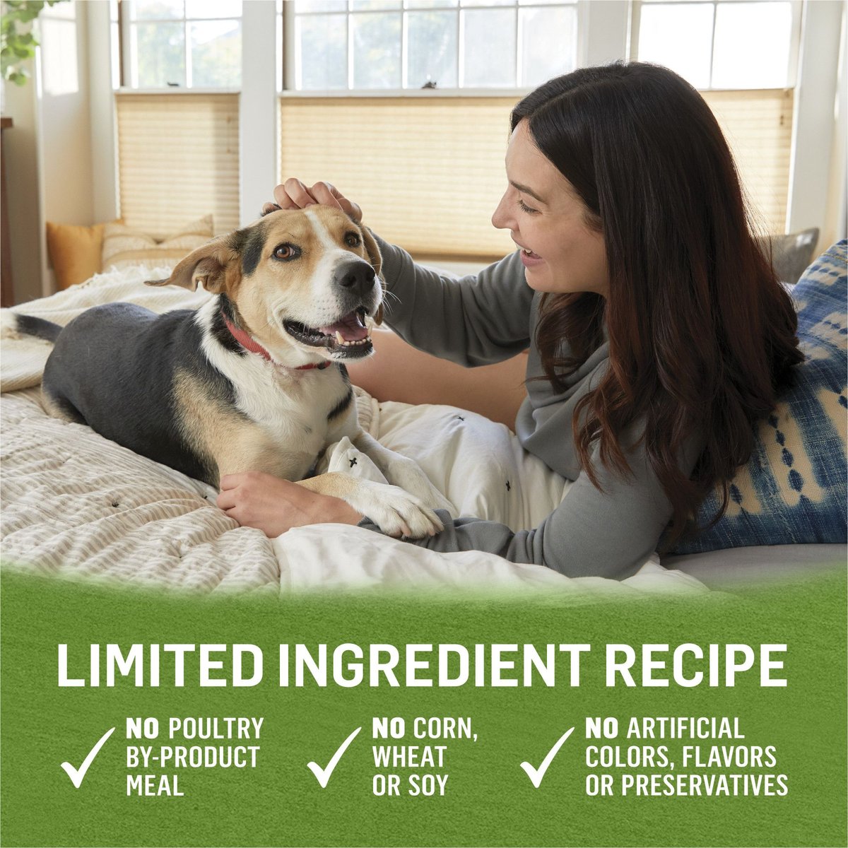 Purina Beyond Grain-Free Chicken， Lamb and Spinach Recipe Ground Entree Canned Dog Food