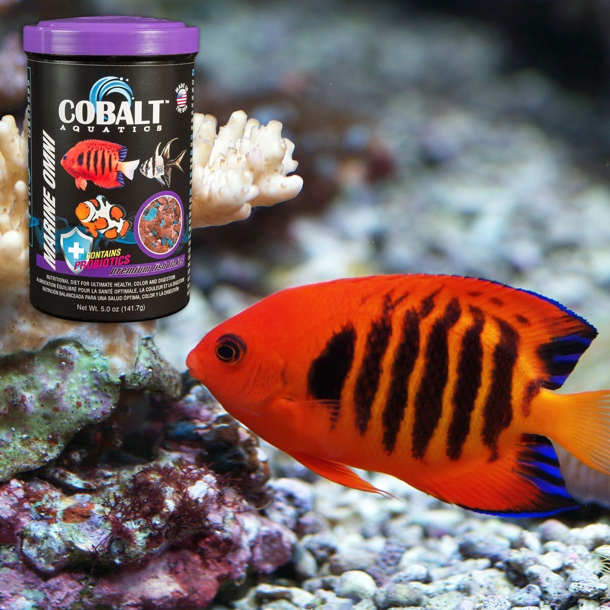 Cobalt Aquatics Marine Omni Flakes Fish Food