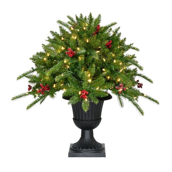 Fraser Hill Farm 3Ft. Porch Tree in Black Pot with Red Berries and Warm White Lights