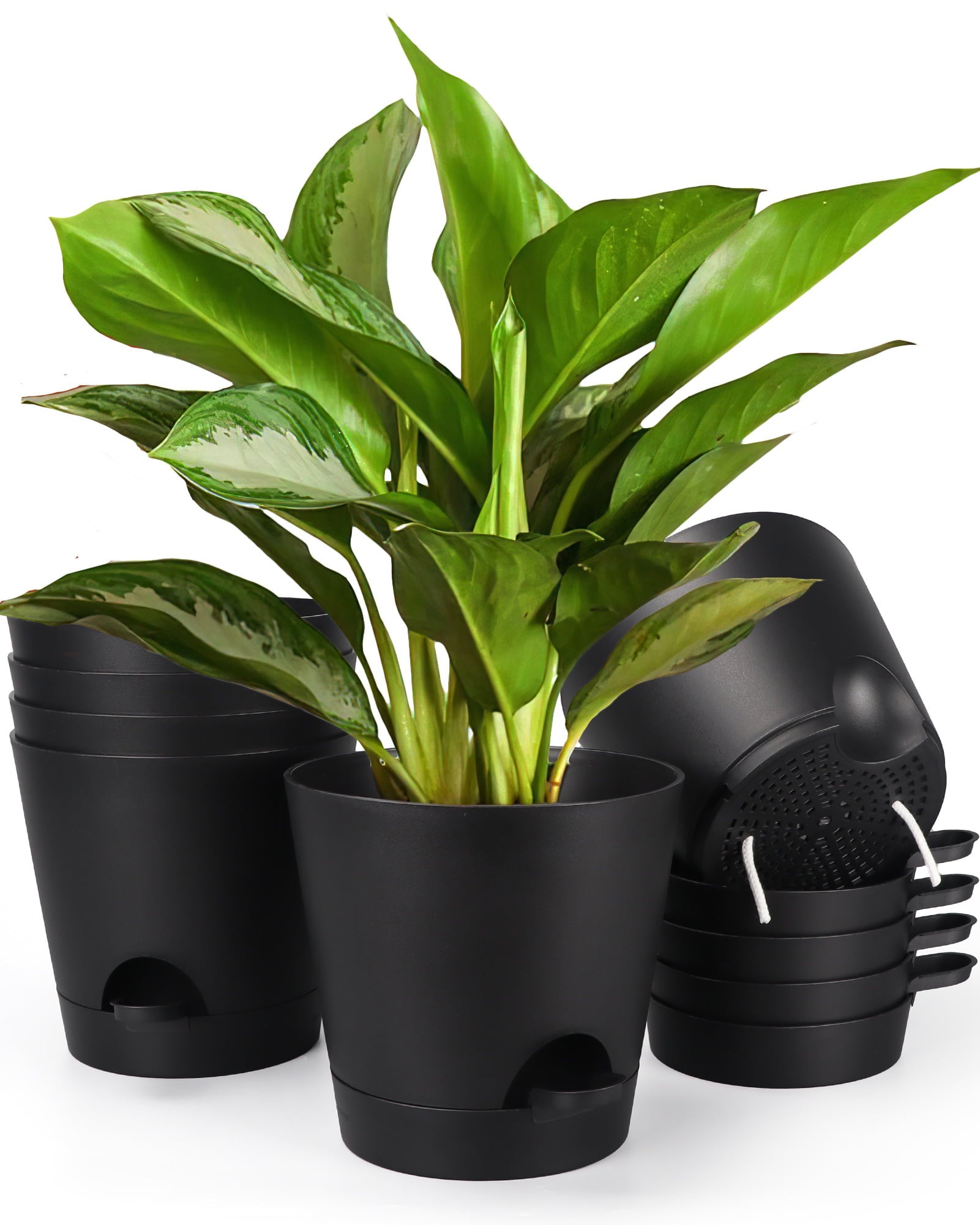 8 Inch Self Watering Plastic Planters Set of 6, Black Plant Pots for Indoor Outdoor with Drainage Holes for Snake Plant, African Violet, Aloe, and Most House Plants