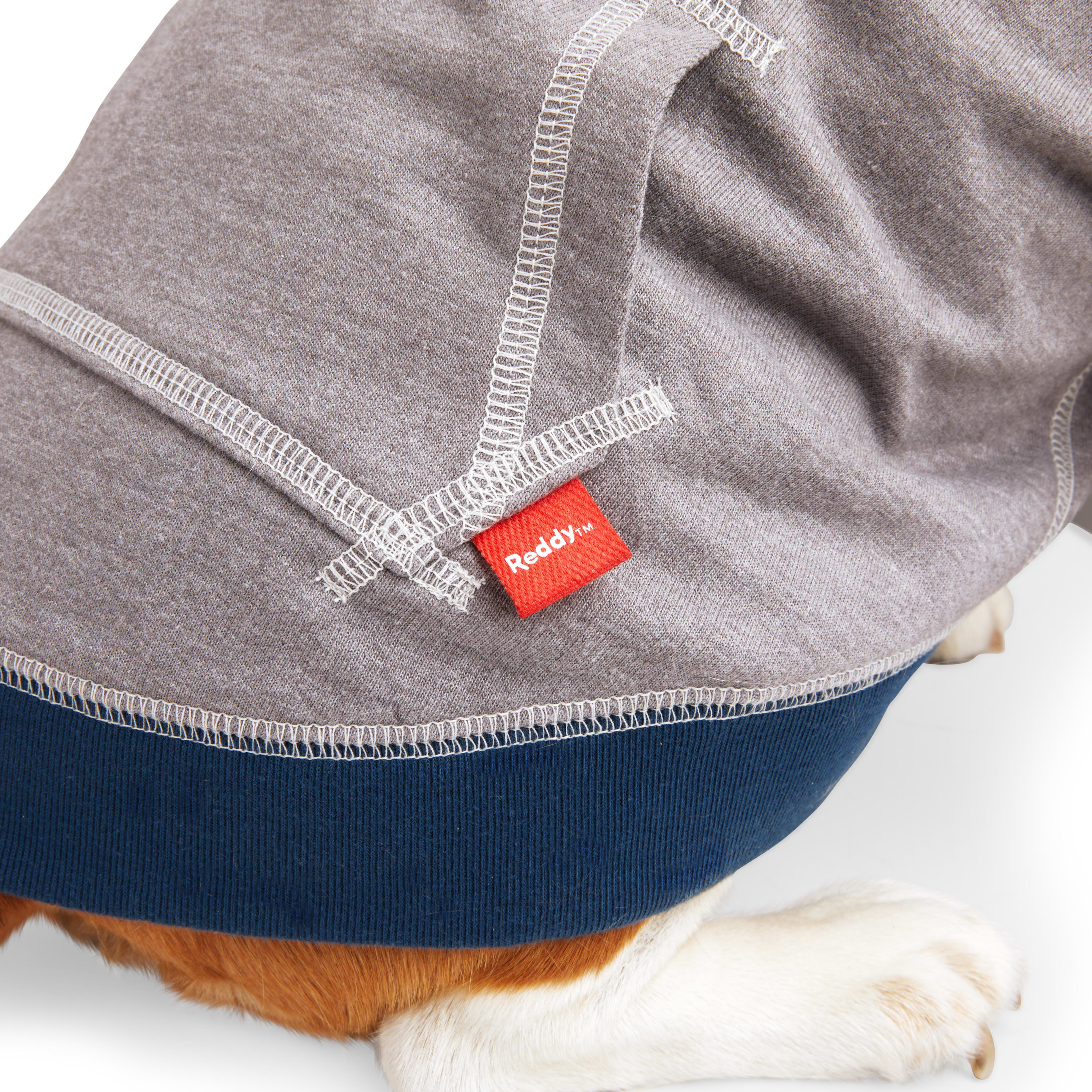 REDDY Grey French Terry Dog Crew， Large