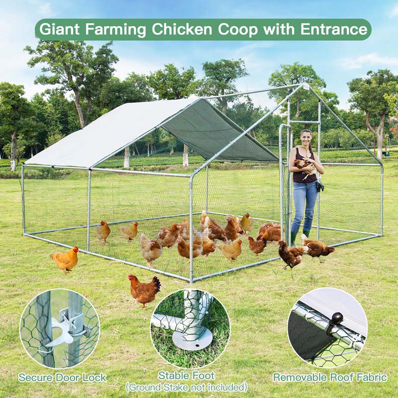 13' x 13' x 6.5' Galvanized Metal Large Walk-in Chicken Coop Cage Runs Hen House with Cover & Lockable Door