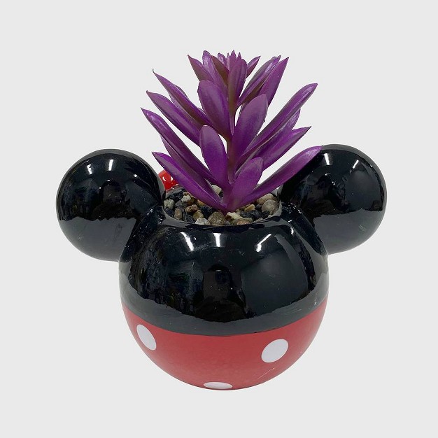 Disney 2pc Indoor outdoor Ceramic Mickey And Minnie Mouse Classic Succulent Set