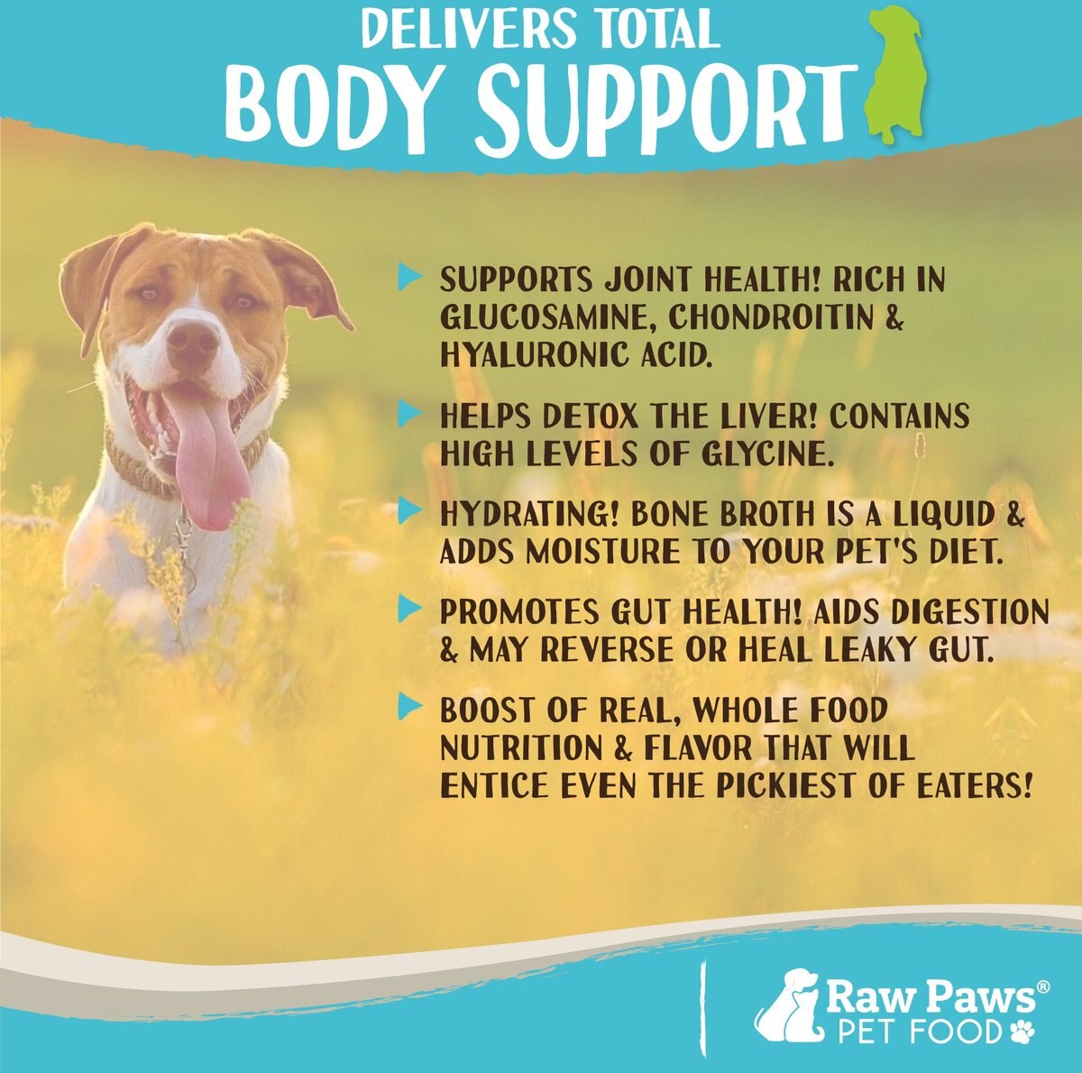 Raw Paws Grass-Fed Beef Bone Broth Powder Dog and Cat Food Topper， 6-oz jar