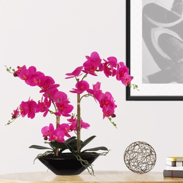 Phalaenopsis Orchid 20 with 6 Buds in Black Vase