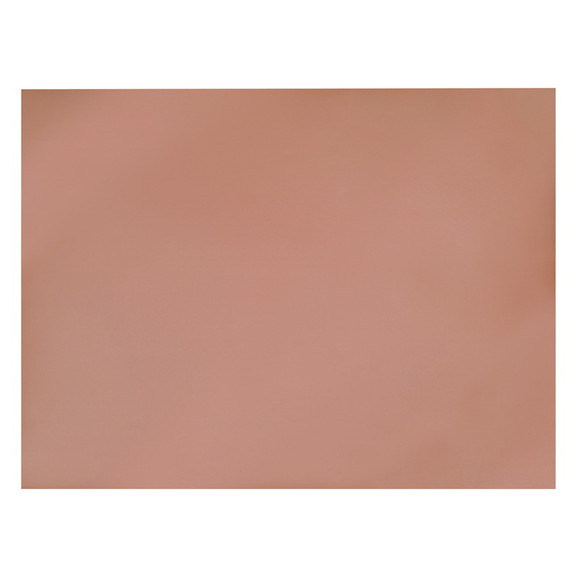 UCreate PAC55001 Rose Gold Poster Board 22X28 25 S...