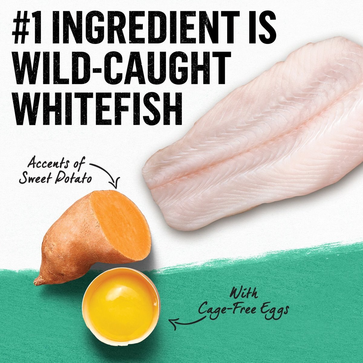 Purina Beyond Grain-Free Natural Simply Wild Caught Whitefish and Cage Free Egg Recipe Dry Cat Food