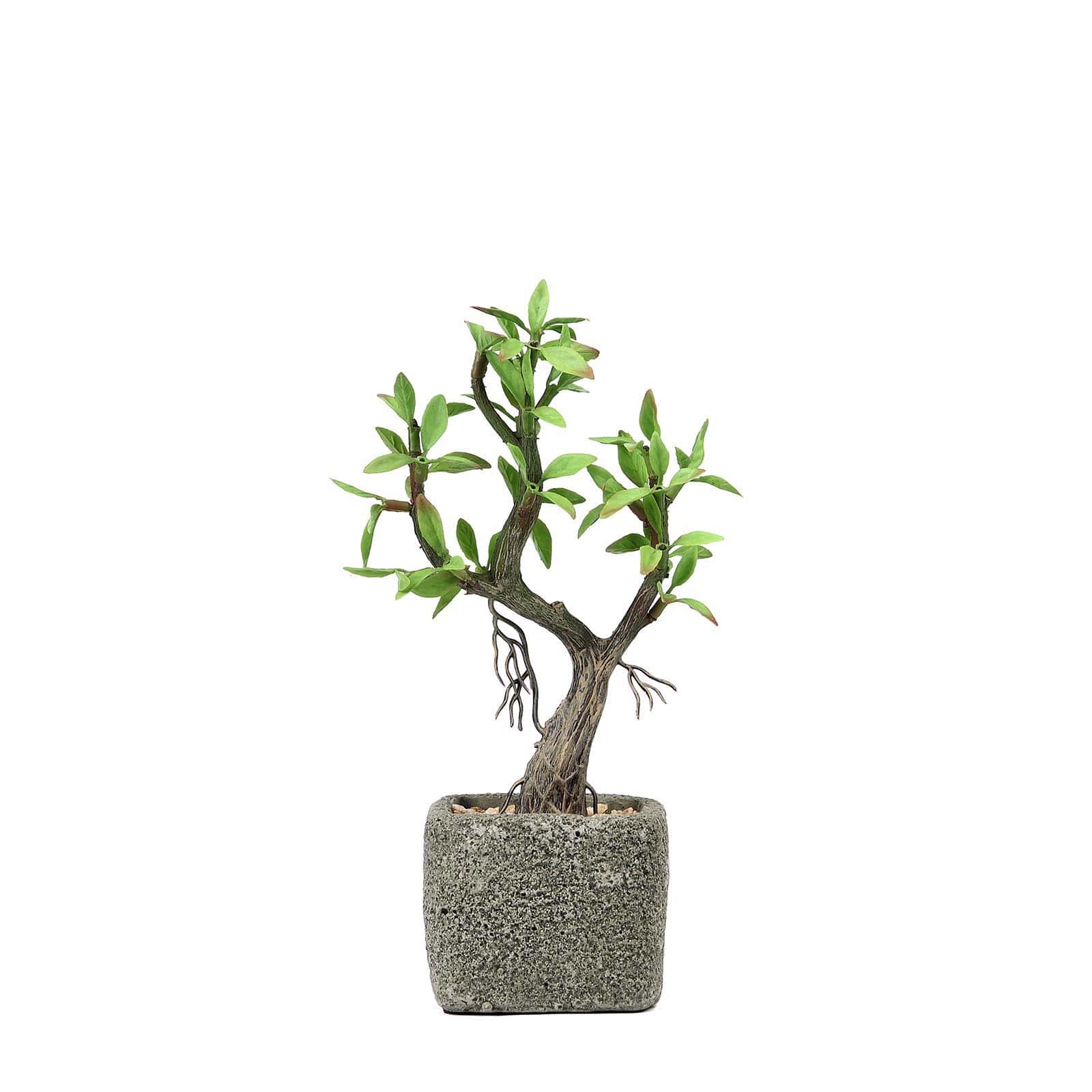 Concrete Planter Pot and Artificial Willow Tree Succulent Plant 9