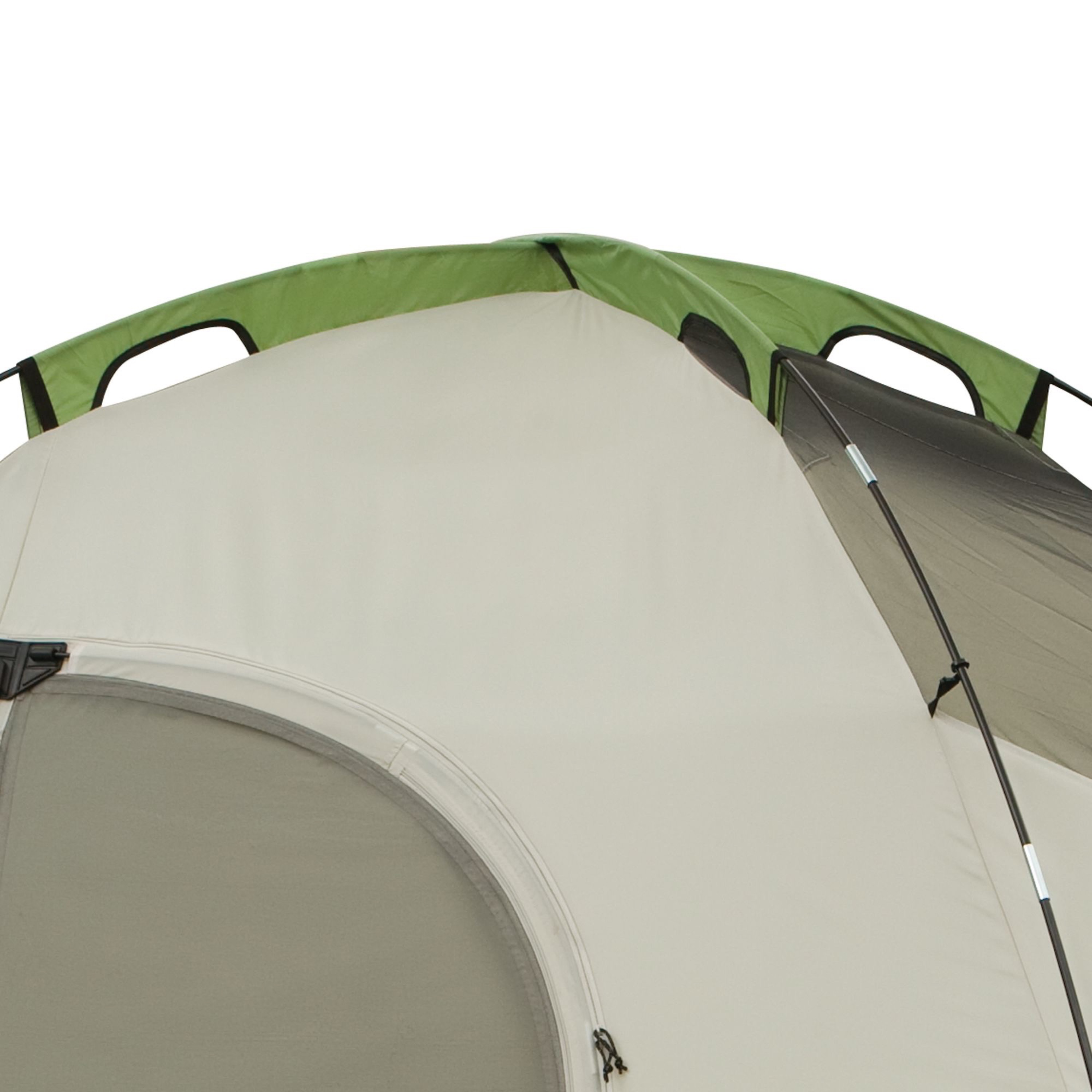 Coleman Montana 8-Person Dome Tent， 1 Room， Green