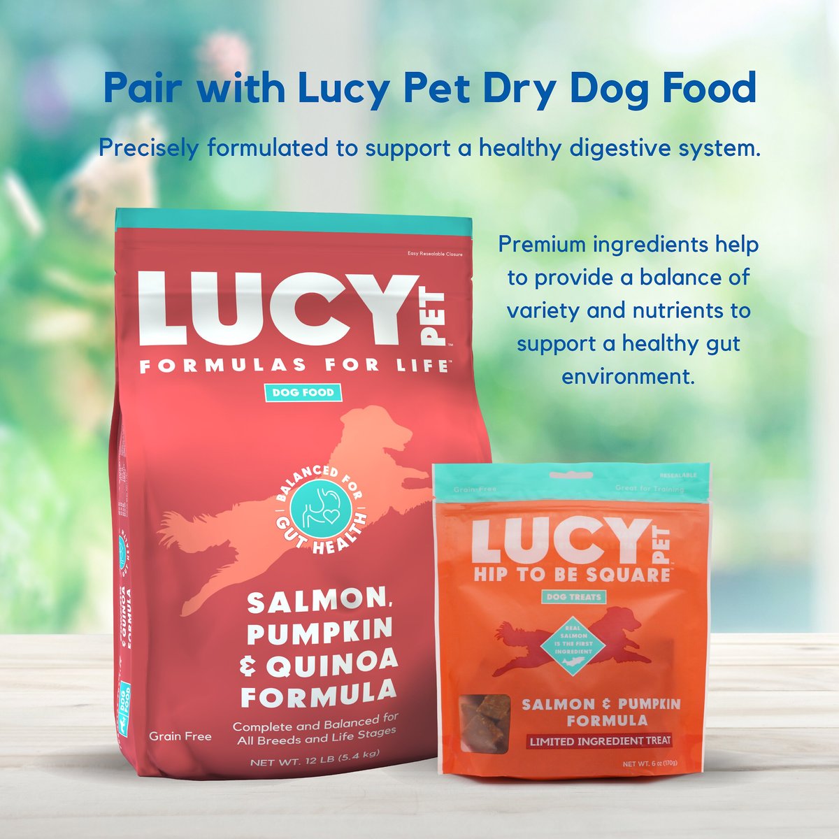 Lucy Pet Products Hip To Be Square Salmon and Pumpkin Formula Grain-Free Dog Treats