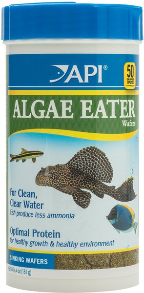 API Algae Eater Wafers Fish Food