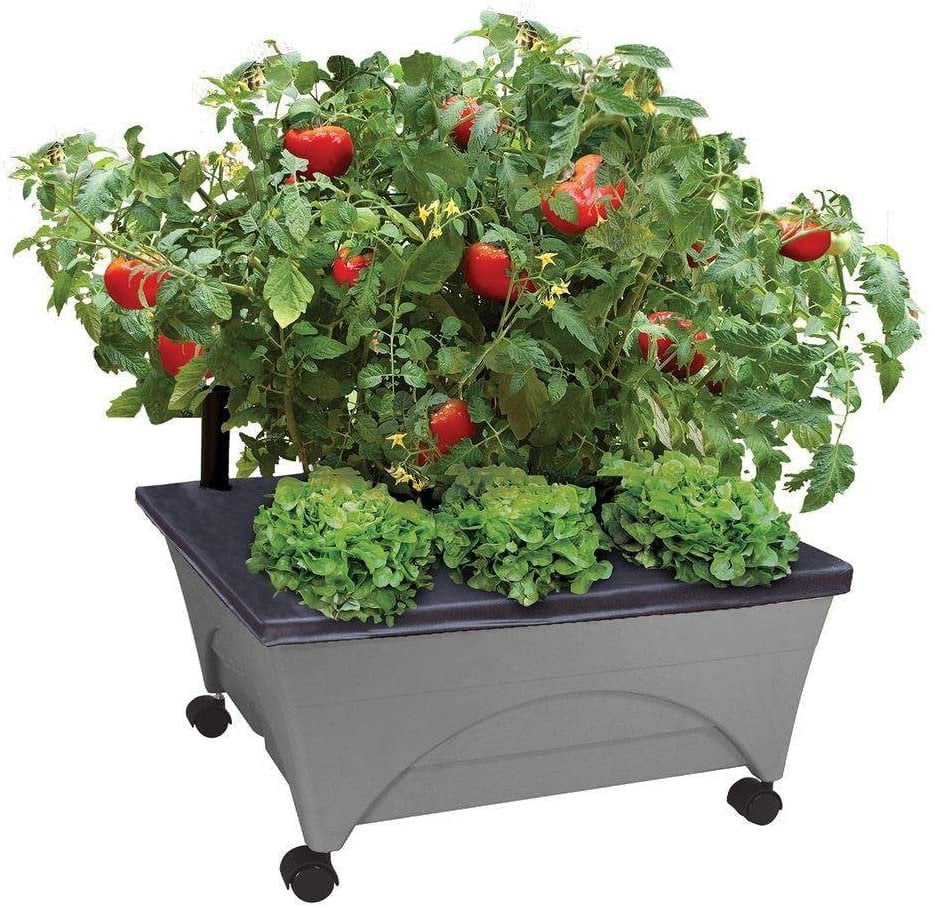 Emsco Group City Picker Raised Bed Grow Box  Self Watering and Improved Aeration  Mobile Unit with Casters - Slate