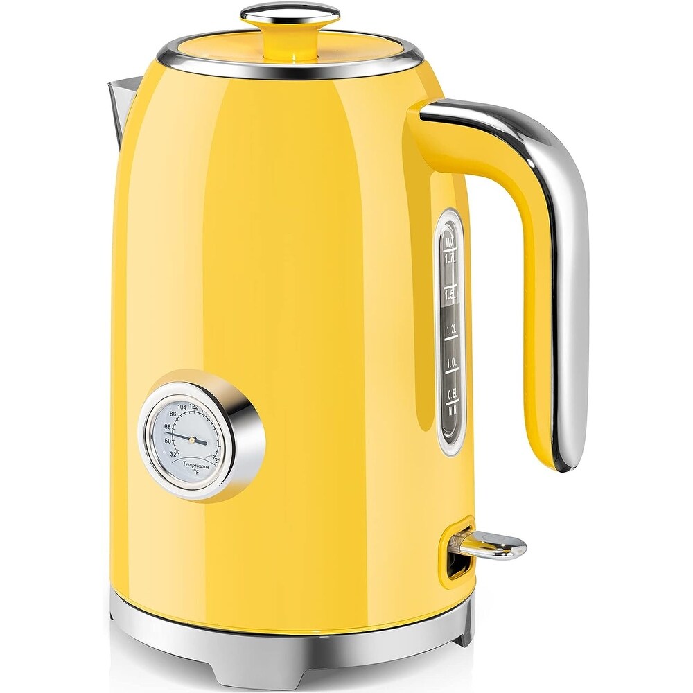 Electric Water Kettle With Thermometer