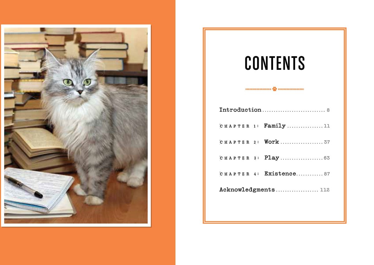 I Could Pee on This: and Other Poems by Cats