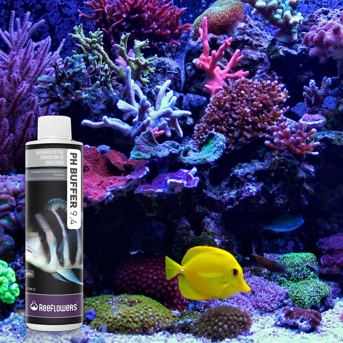 Reeflowers pH Buffer 9.4 pH+ Aquarium Water Treatment