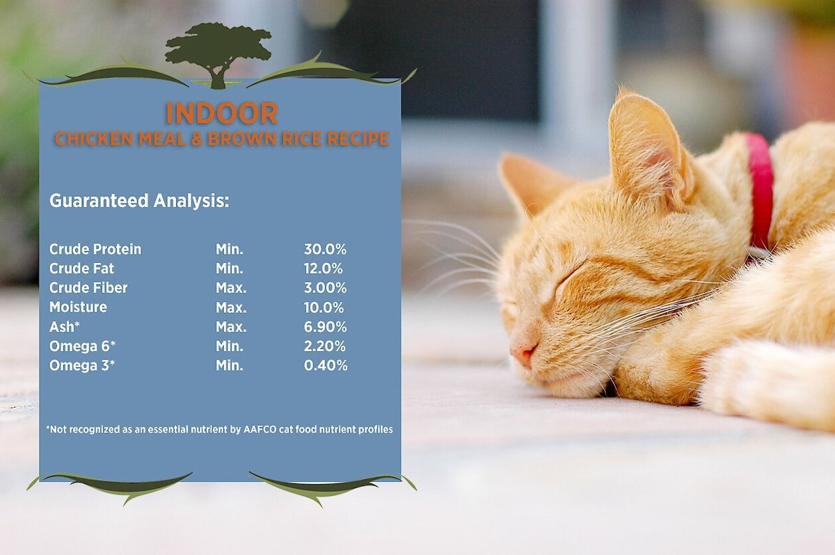 Blackwood Chicken Meal and Rice Recipe Indoor Formula Dry Cat Food