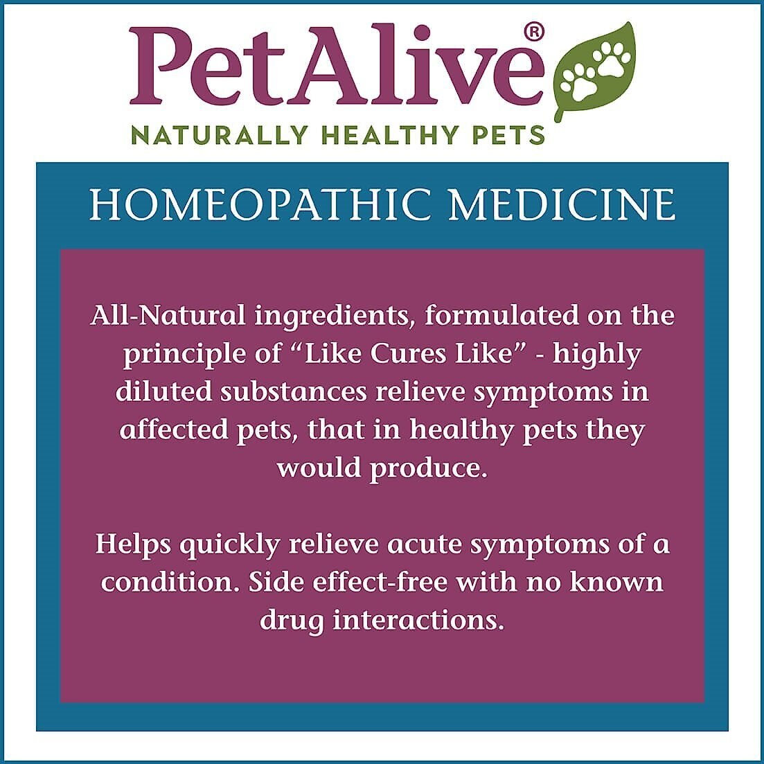 PetAlive KC-Defense Homeopathic Medicine for Kennel Cough for Dogs and Cats， 1-oz jar