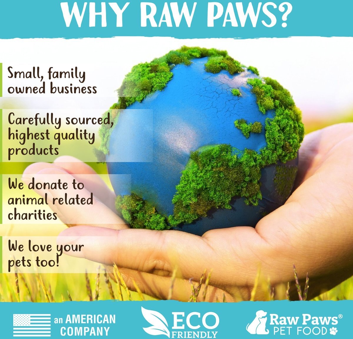 Raw Paws Grass-Fed Beef Bone Broth Powder Dog and Cat Food Topper， 6-oz jar