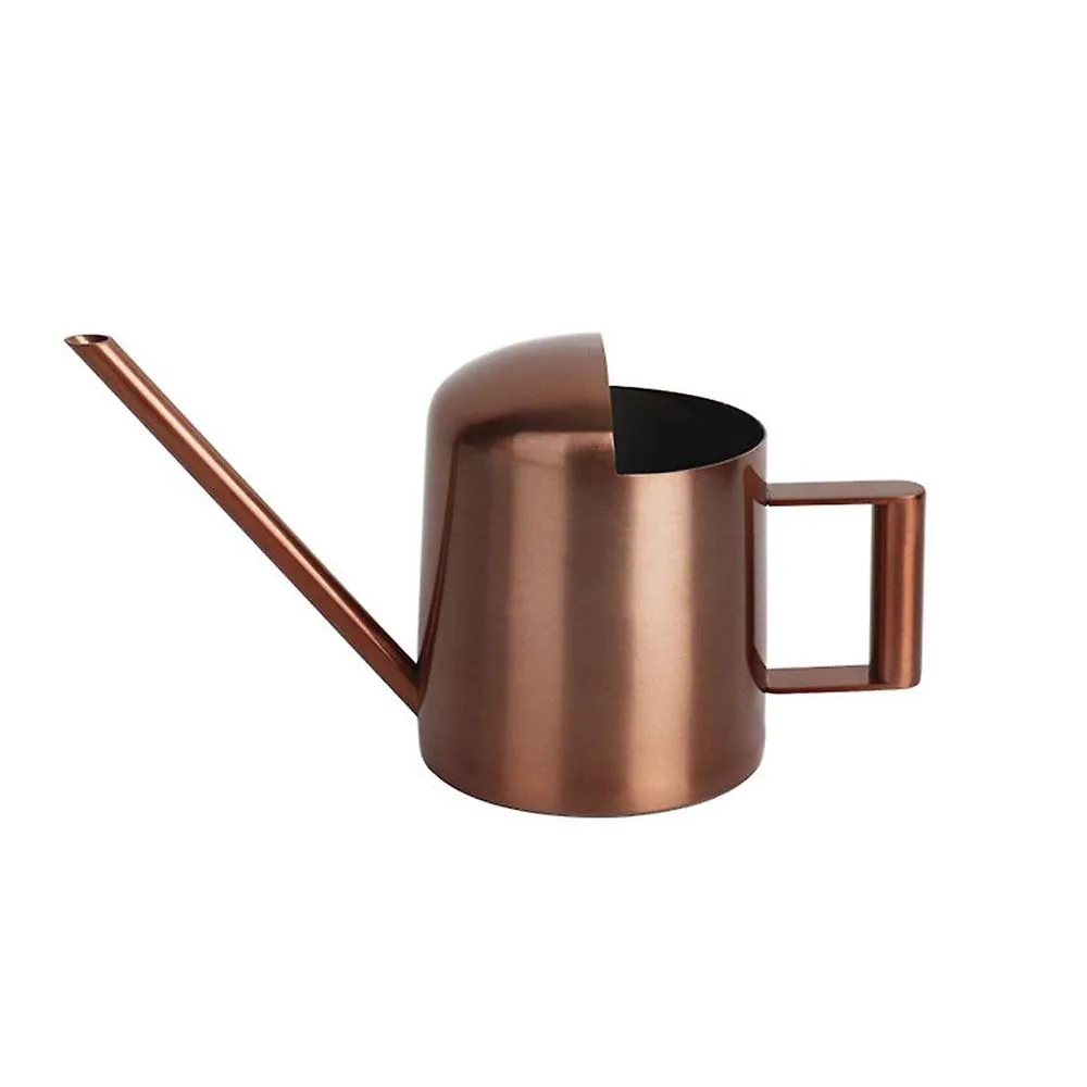 Buy Useful Pure Stainless Steel Water Cans Long Sprinkling Watering Can Indoor Outdoor Pot for Home Gardening Plants Watering