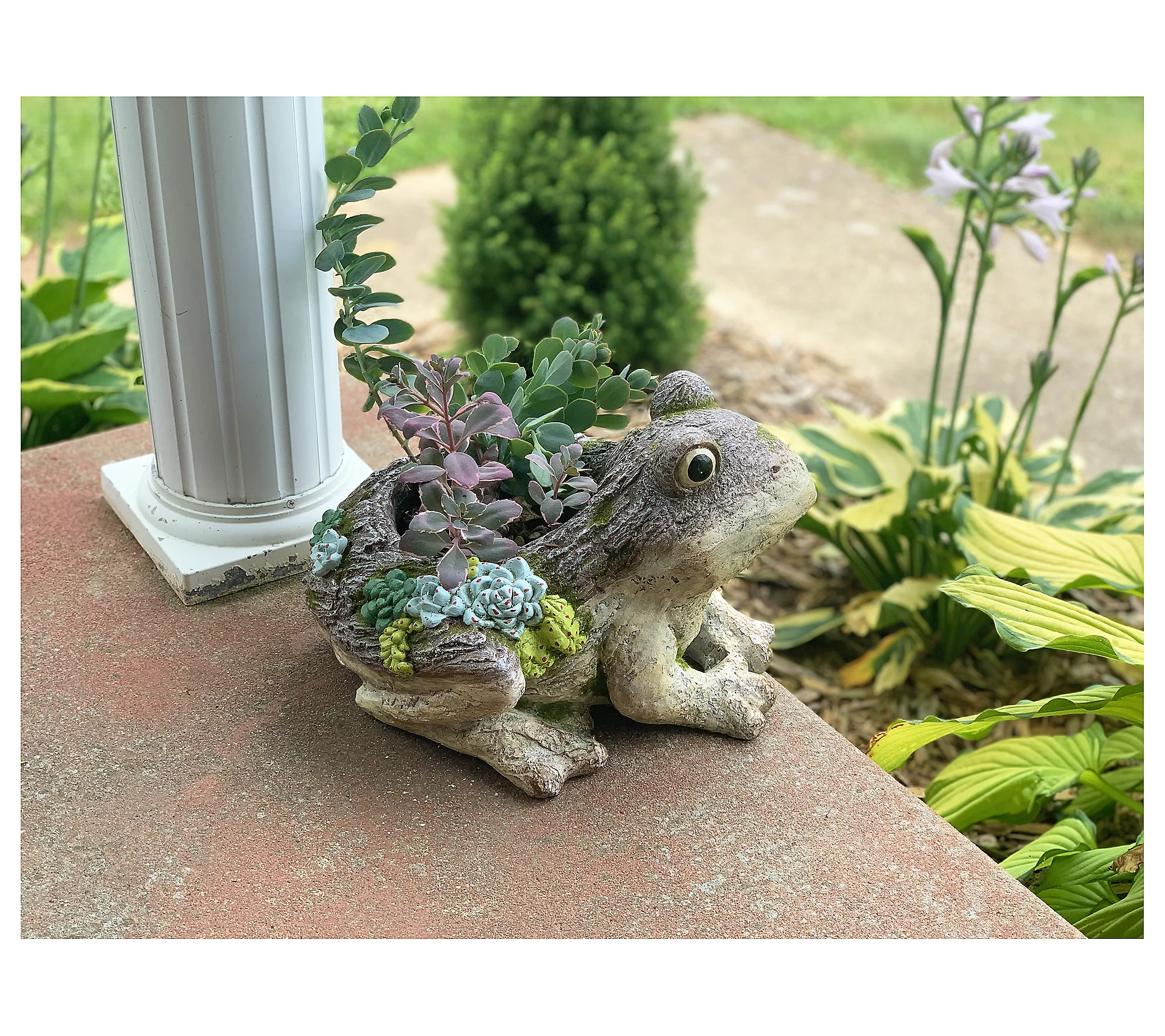 RCS Gifts Planter Frog Moss Accents