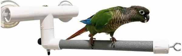 Polly's Pet Products Deluxe Window and Shower Bird Perch