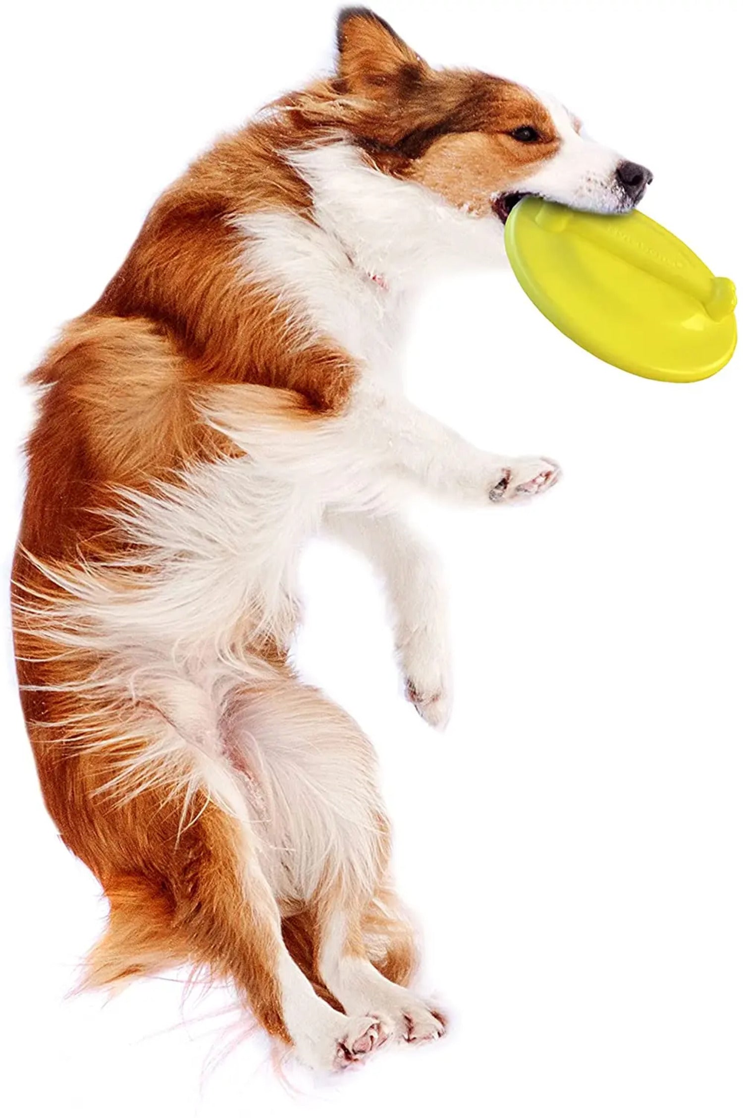 Nylabone Power Play Ultra Glider Gripz Dog Flying Disc Ultra Glider， 1ea/Large 1 ct - PDS-018214851622