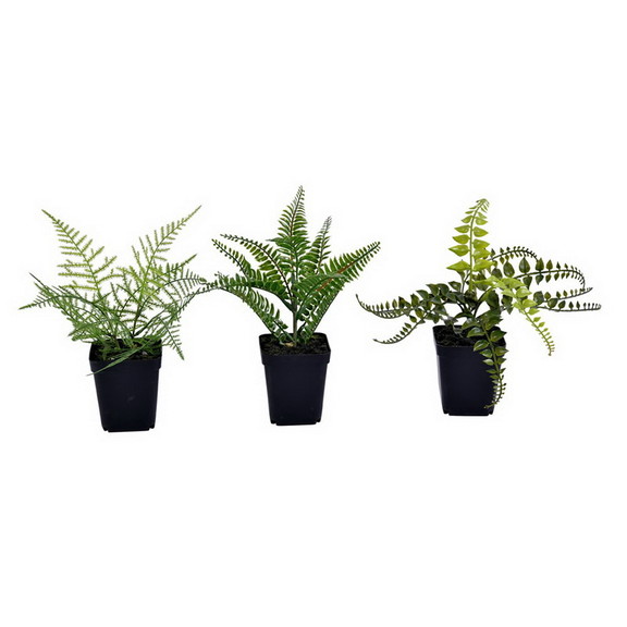 Vickerman FE192106 10 Green Potted Fern Assortmen...