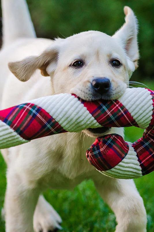 HuggleHounds Totally Tartan Candy Cane Dog Toy