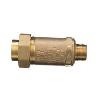 Zurn 34 in. FNTC X 34 in. MMCT 700XL Dual Check Valve 34UFMX34MM700XL