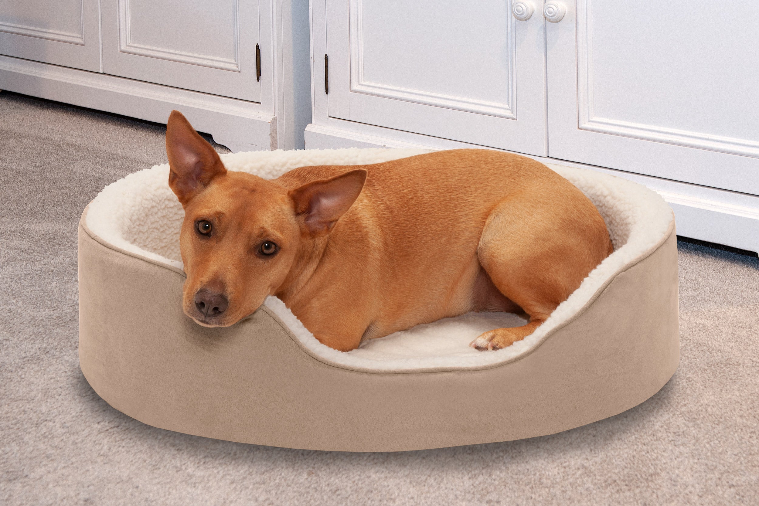 FurHaven | Orthopedic Faux Sheepskin and Suede Oval Pet Bed for Dogs and Cats， Clay， Large