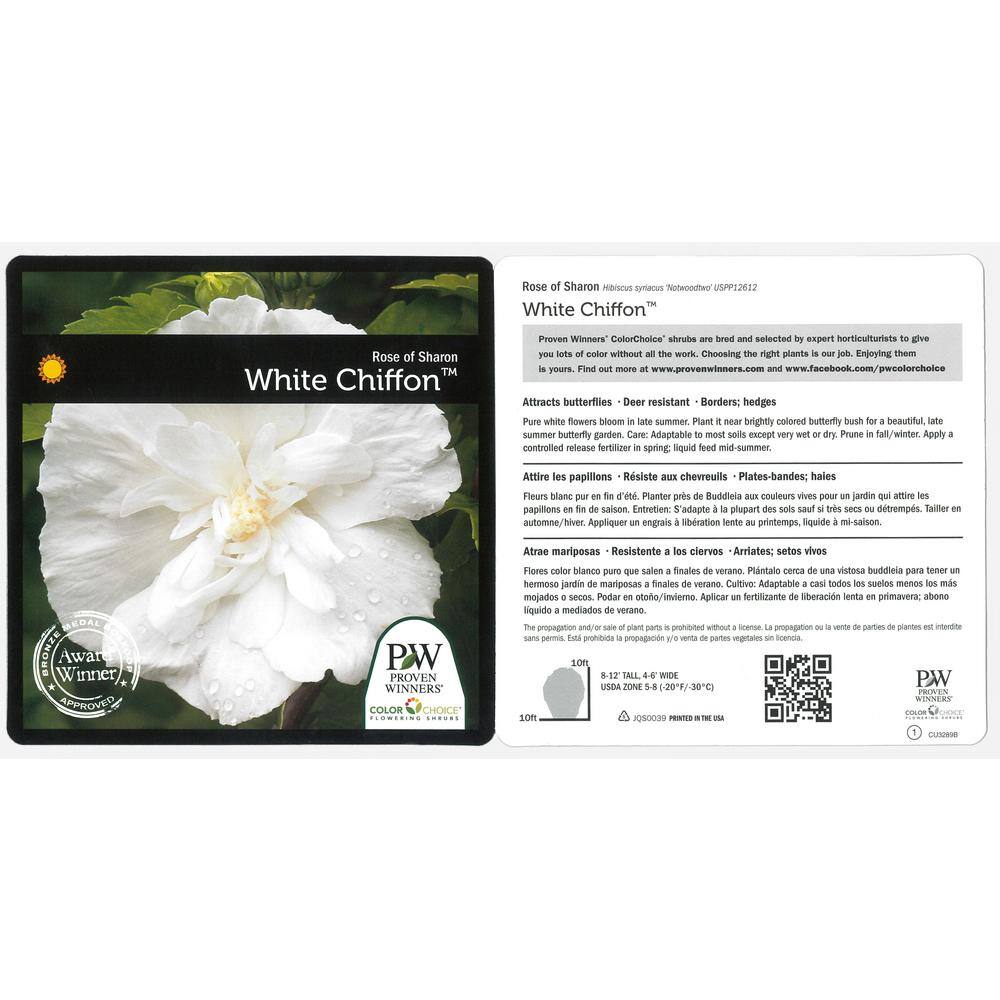 PROVEN WINNERS 1 Gal. White Chiffon Rose of Sharon (Hibiscus) Live Shrub White Flowers HIBPRC2016101
