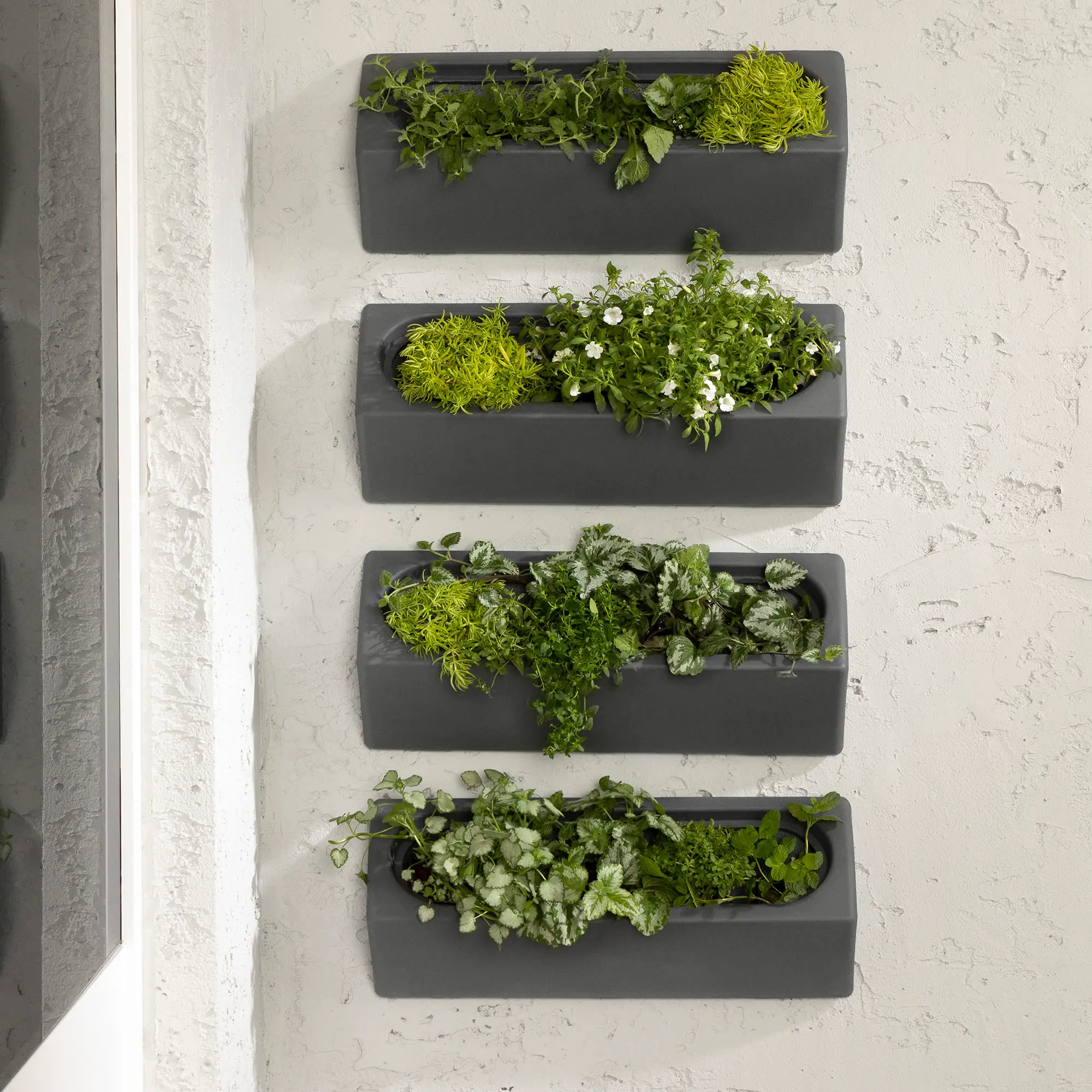 Dalya Set of 4 Dark Gray Outdoor Wall Planters - South Shore