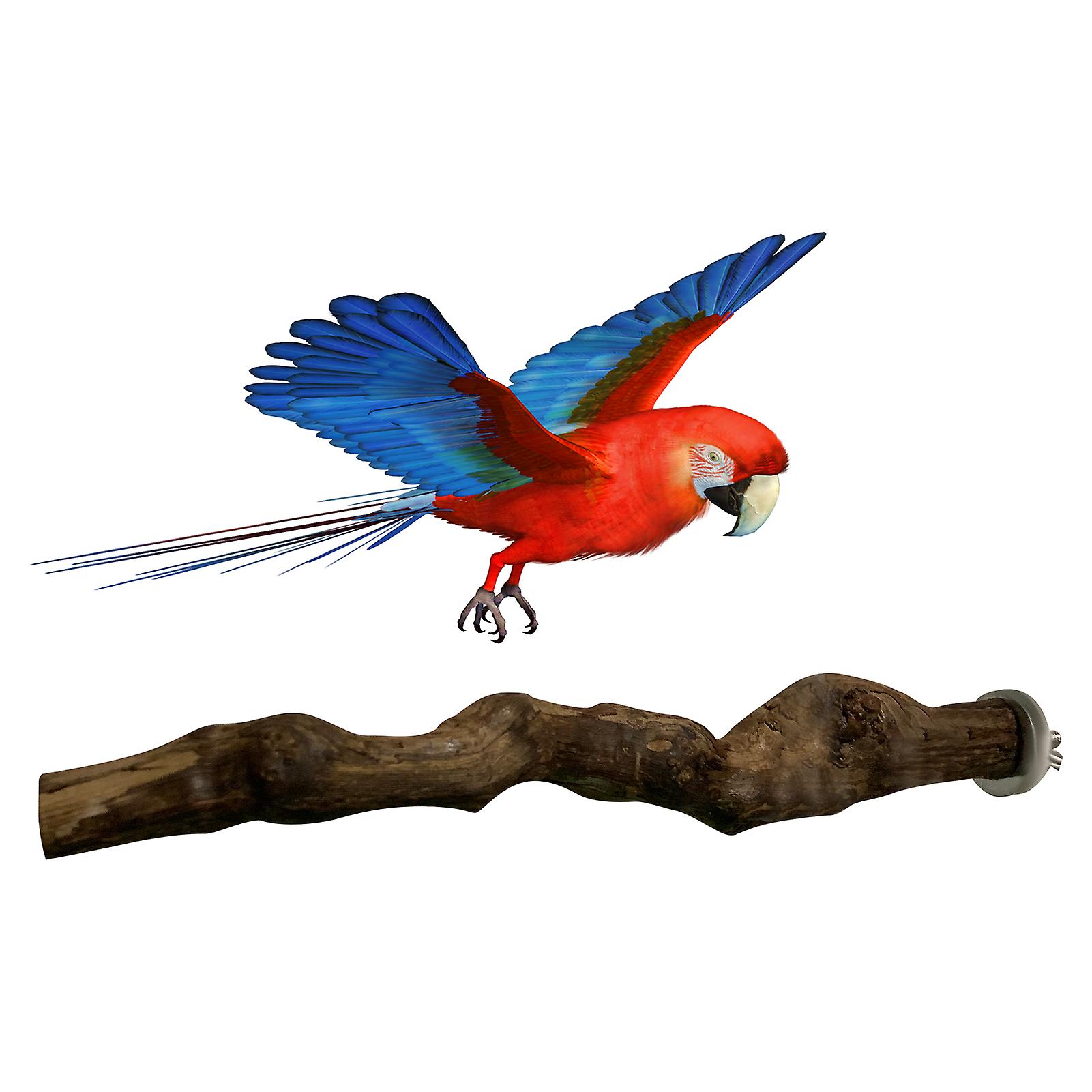 Bird Perch Stand Bird Training Stand Bird Playstand Bird Cage Toys Red