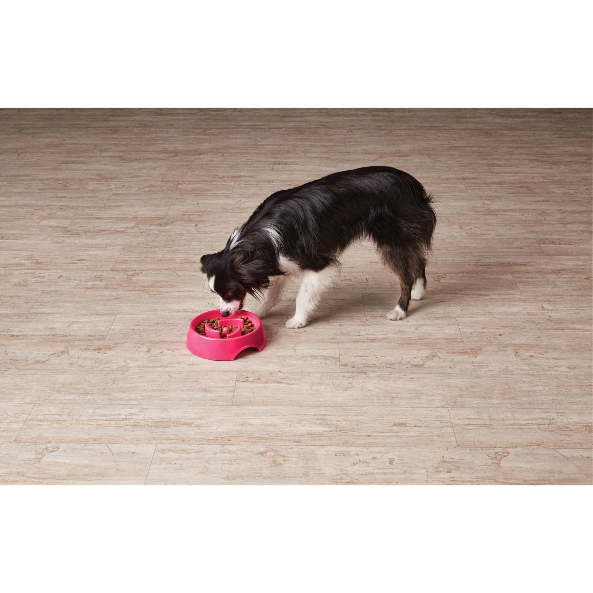 HARMONY Pink Plastic Slow Feeder Dog Bowl， Large