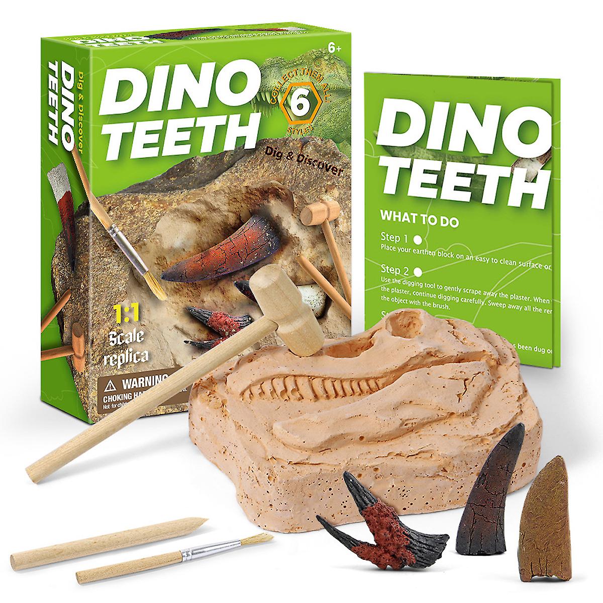 Dino Teeth Dig Fossil Dig Archaeological Excavation Kit ，educational Science Kit Learning Toys For Kids