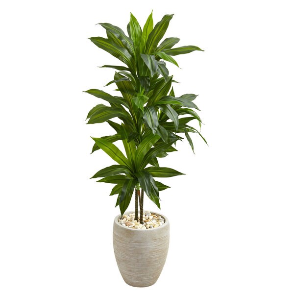 Artificial 4foot Dracaena Plant in Sand Colored Planter (Real Touch)