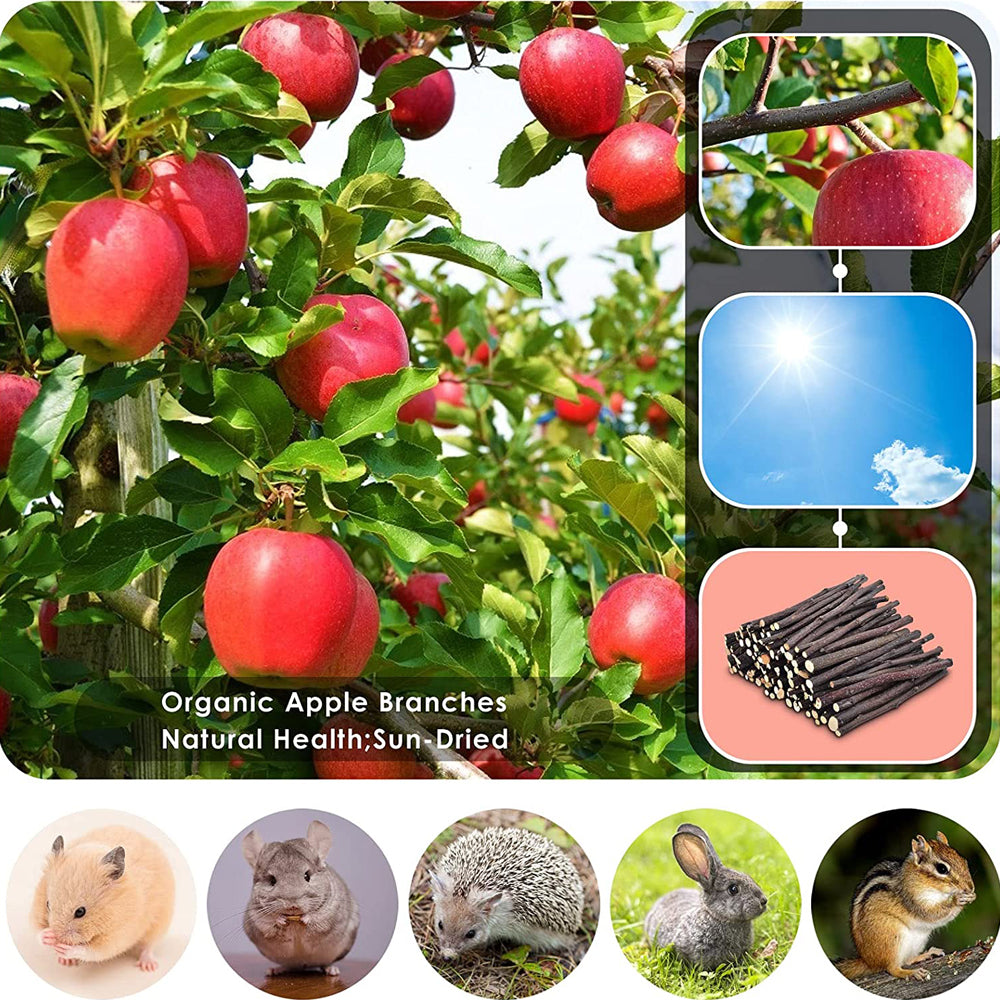 300g Natural Apple Sticks Small Animals Molar Chew Toys Apple Branch Chew Treats for Hamster Rabbit Chinchilla Bunny Guinea Pig Squirrel