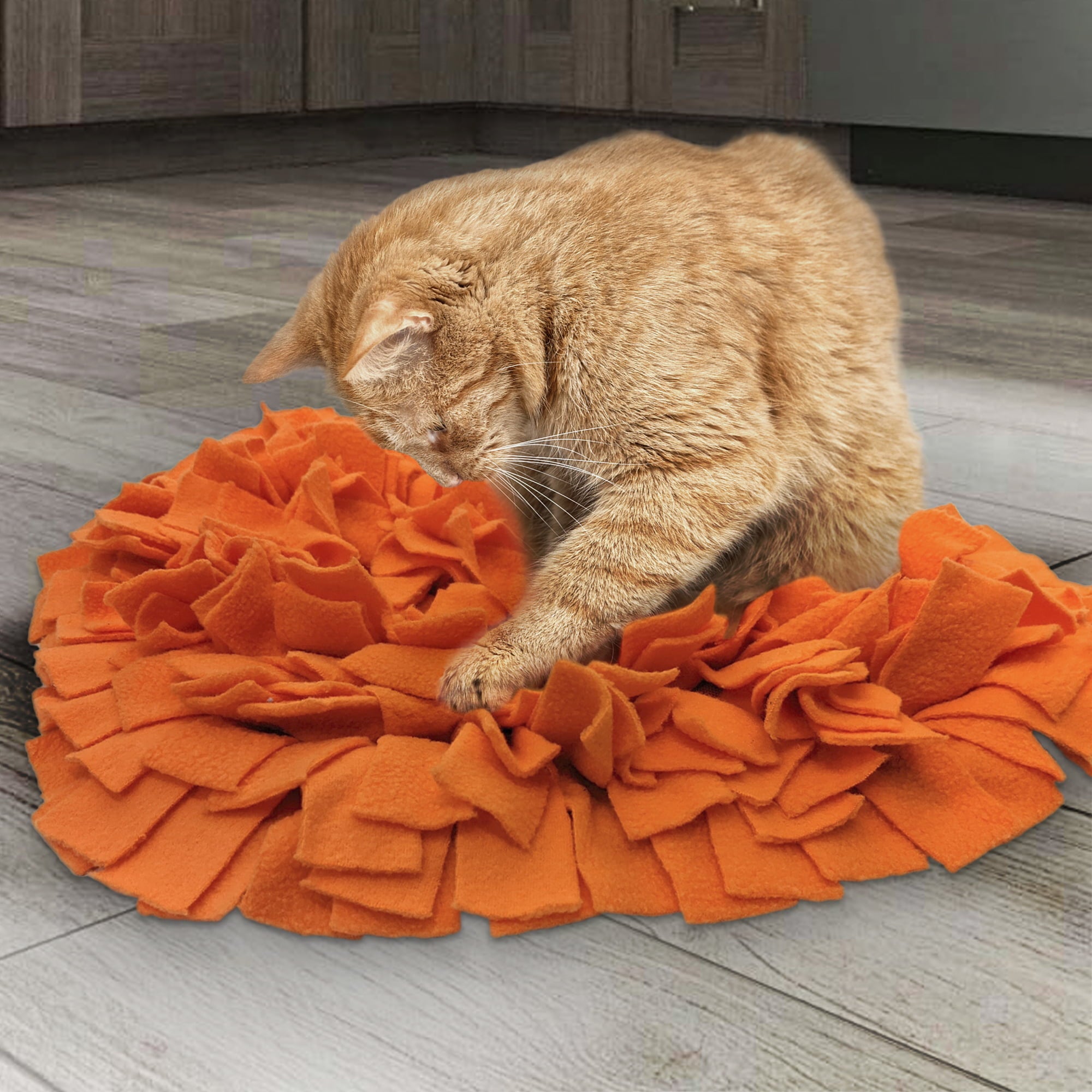 Best Friends Animal Society Snuffle Mat for Dogs， Heart Shape， Orange