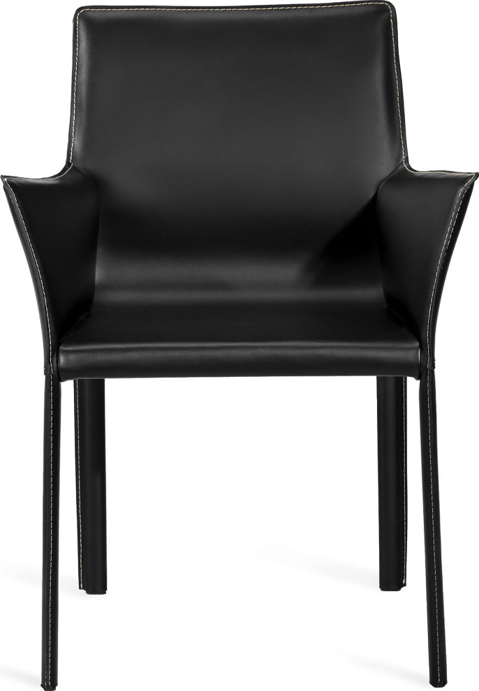 Jada Arm Chair   Contemporary   Armchairs And Accent Chairs   by HedgeApple  Houzz