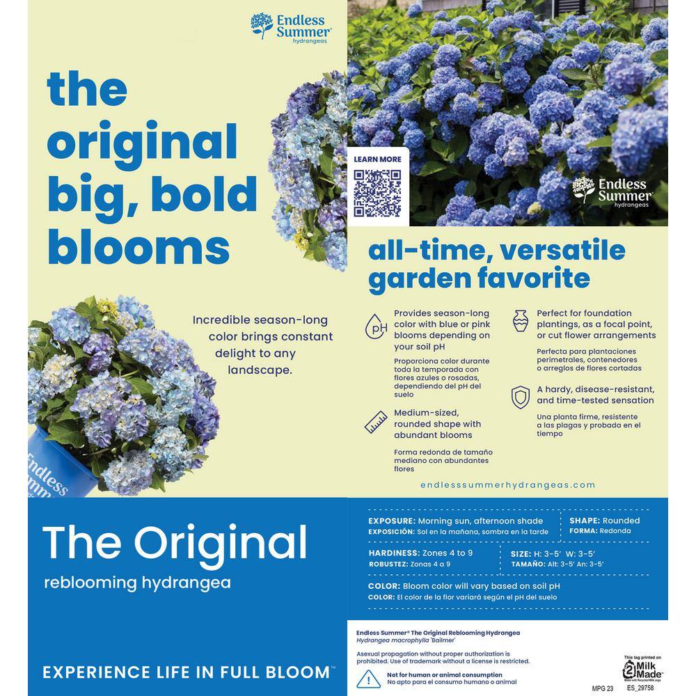 Endless Summer 3 Gal. The Original Reblooming Hydrangea Flowering Shrub with Pink or Blue Flowers HYDGA3ESO1PK