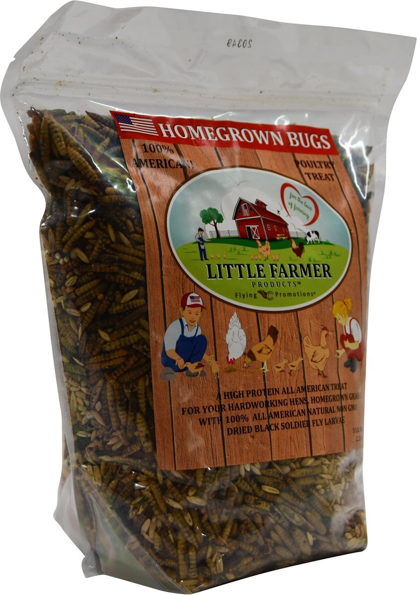 Little Farmer Products Homegrown Bugs Black Soldier Fly Grubs and Grains Chicken Treats