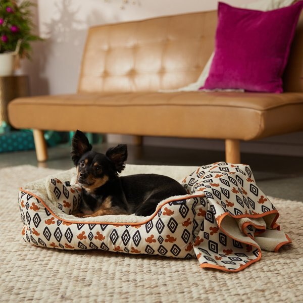 Disney Mickey Mouse Southwest Diamond Pattern Pet Bed and Gift Set