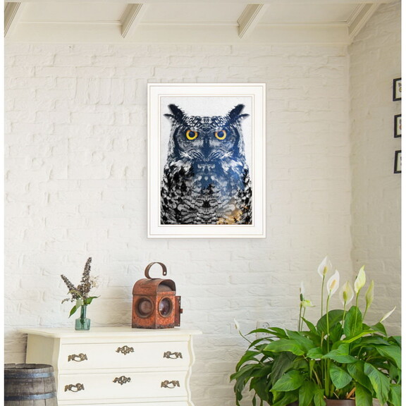 Night Owl by Andreas Lie  Ready to Hang Framed P...