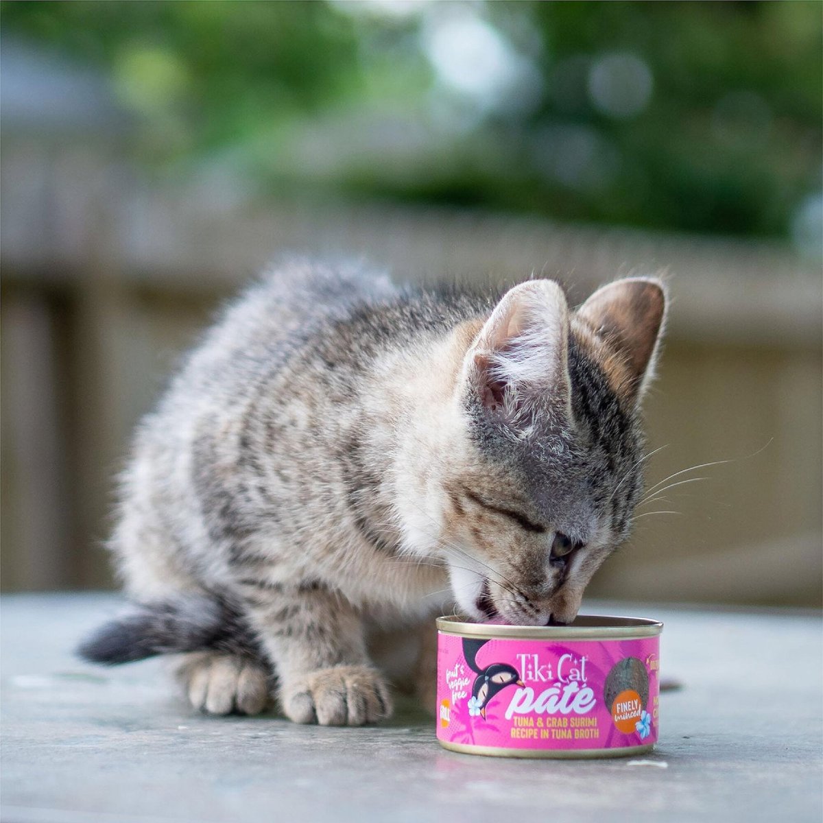 Tiki Cat Pate Tuna and Crab Surimi Recipe in Tuna Broth Wet Cat Food， 2.8-oz， case of 12