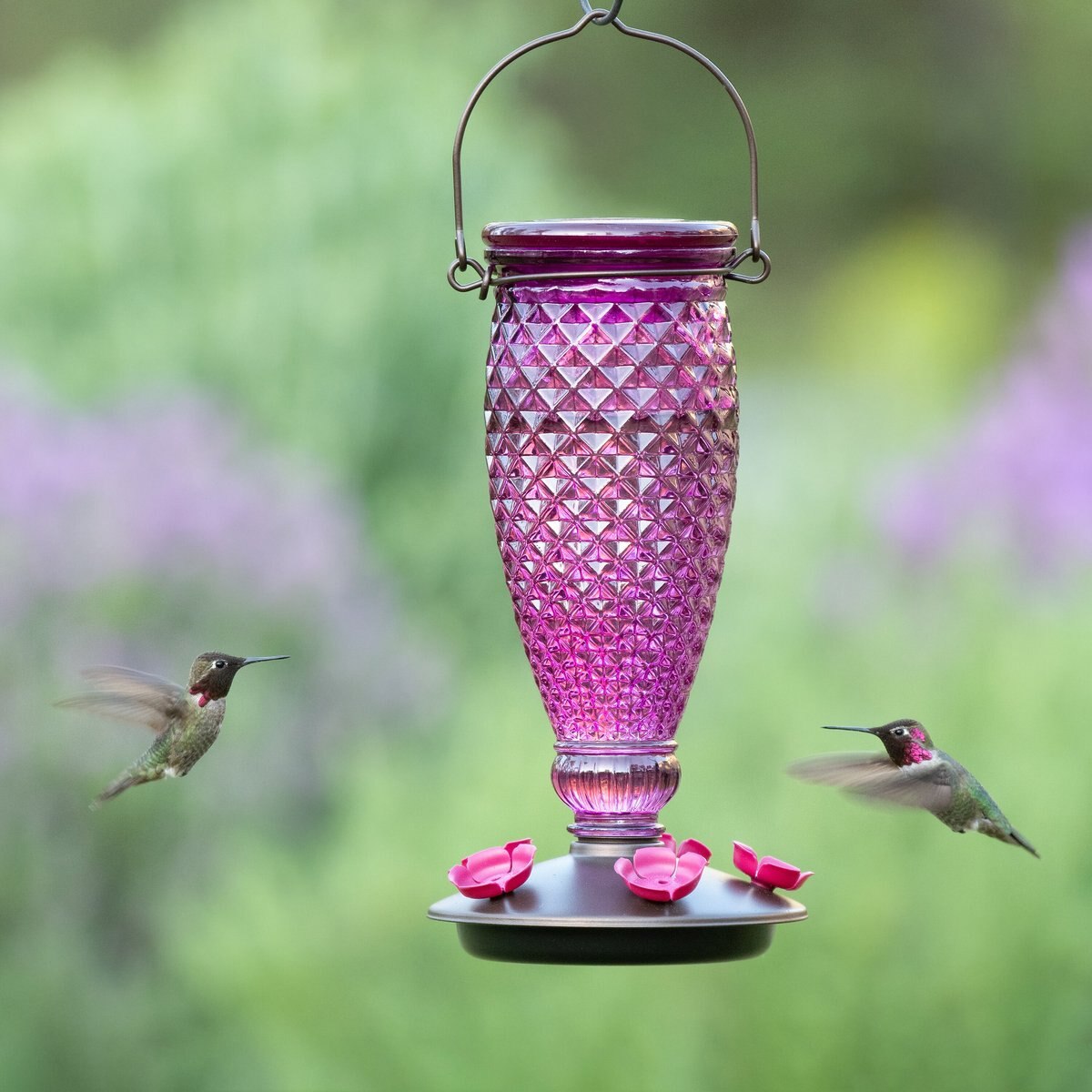 Perky-Pet Diamond Wine Top-Fill Glass Hummingbird Feeder